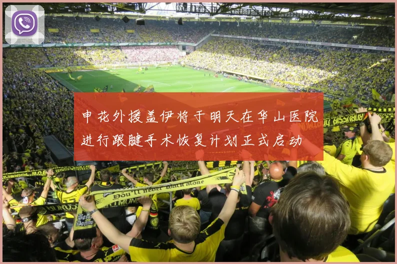 申花外援盖伊将于明天在华山医院进行跟腱手术恢复计划正式启动
