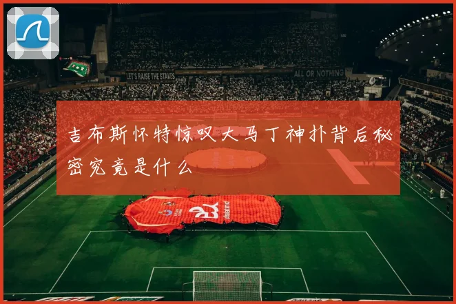 吉布斯怀特惊叹大马丁神扑背后秘密究竟是什么